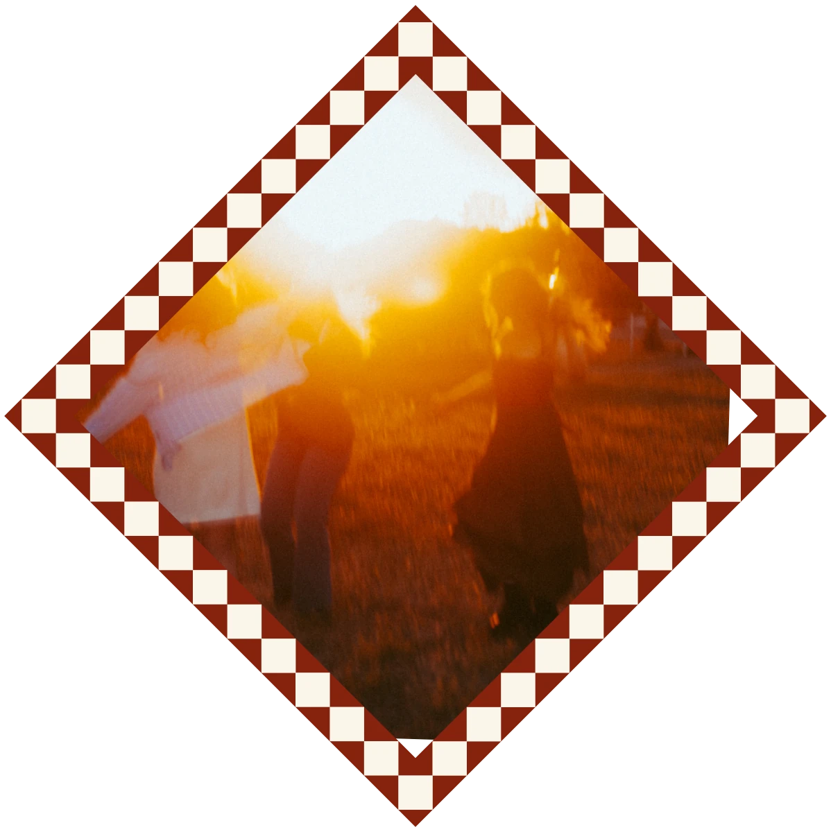 Eine Gruppe feiert bei Sonnenuntergang im Weinberg.
